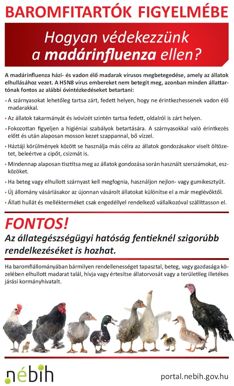 Baromfitartók figyelmébe